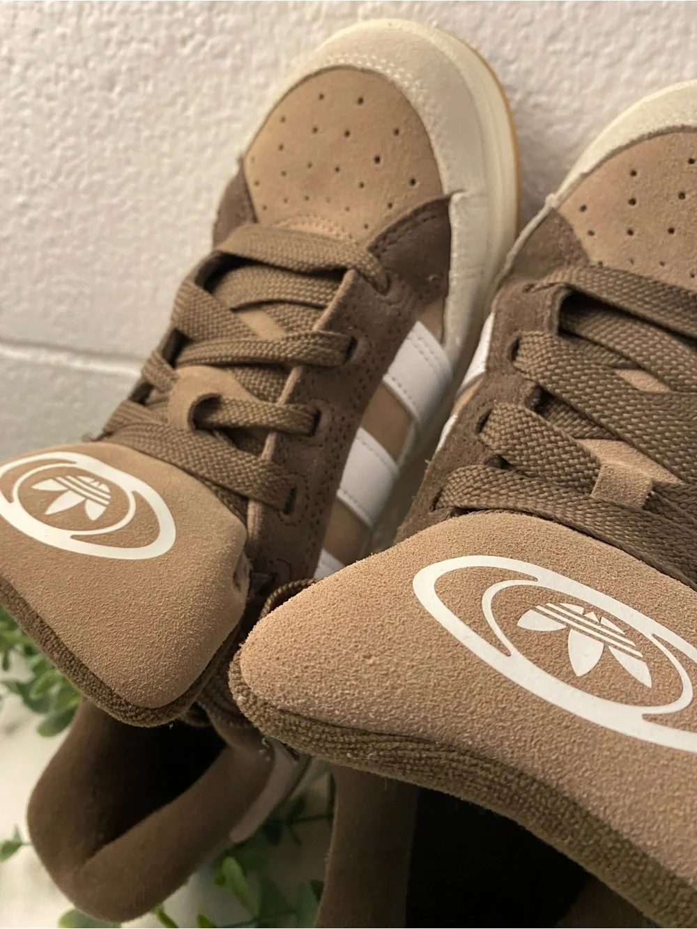 Adidas Campus Brown - Picture 3 of 6